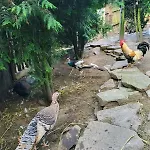 Koperkowe Rancho Beskid Wyspowy Malopolskie Casa vacanze