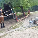 Prázdninový dům Koperkowe Rancho Beskid Wyspowy Malopolskie Kamionna (Trzciana)