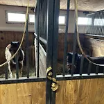 Prázdninový dům Koperkowe Rancho Beskid Wyspowy Malopolskie Kamionna (Trzciana)