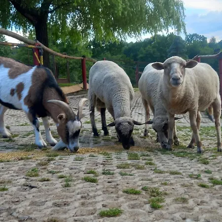 Koperkowe Rancho Beskid Wyspowy Malopolskie Kamionna (Trzciana)