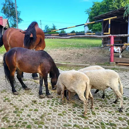 Koperkowe Rancho Beskid Wyspowy Malopolskie