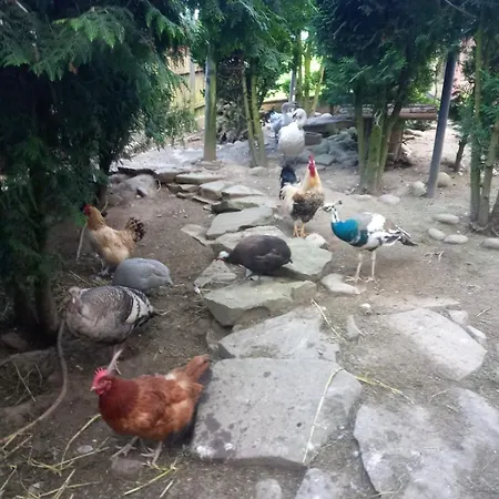 Дом отдыха Koperkowe Rancho Beskid Wyspowy Malopolskie *