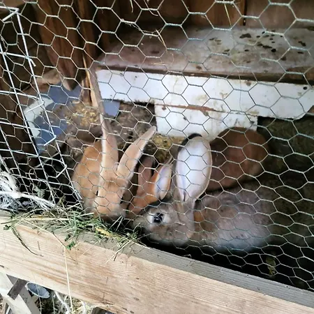 Koperkowe Rancho Beskid Wyspowy Malopolskie Дом отдыха *