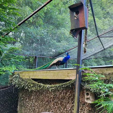 Koperkowe Rancho Beskid Wyspowy Malopolskie Kamionna (Trzciana)