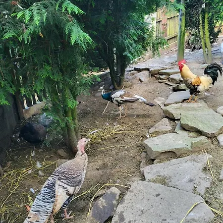 Koperkowe Rancho Beskid Wyspowy Malopolskie Vakantiehuis