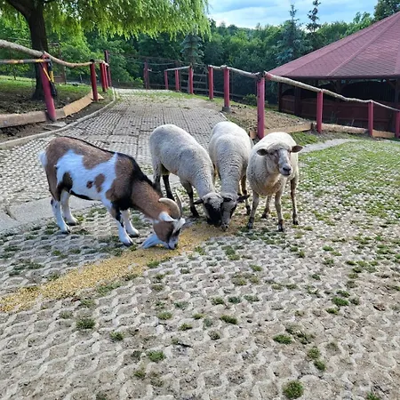 Koperkowe Rancho Beskid Wyspowy Malopolskie *
