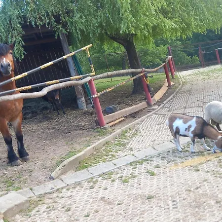 Tatil Evi Koperkowe Rancho Beskid Wyspowy Malopolskie Kamionna (Trzciana)