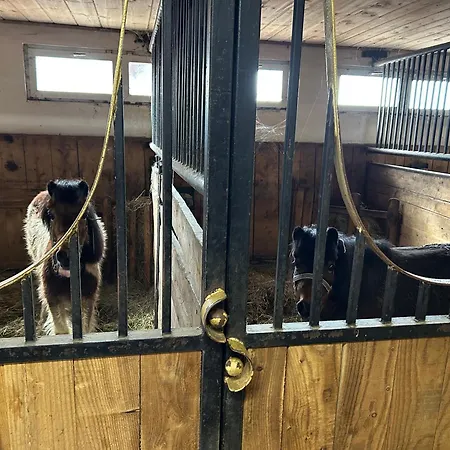 Vakantiehuis Koperkowe Rancho Beskid Wyspowy Malopolskie Kamionna (Trzciana)