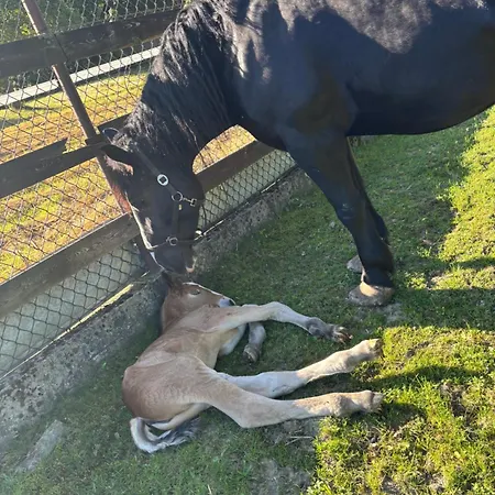 Koperkowe Rancho Beskid Wyspowy Malopolskie Feriehus Kamionna (Trzciana)