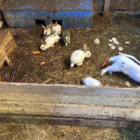 Koperkowe Rancho Beskid Wyspowy Malopolskie