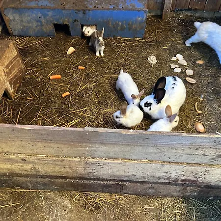 Koperkowe Rancho Beskid Wyspowy Malopolskie Nyaraló Kamionna